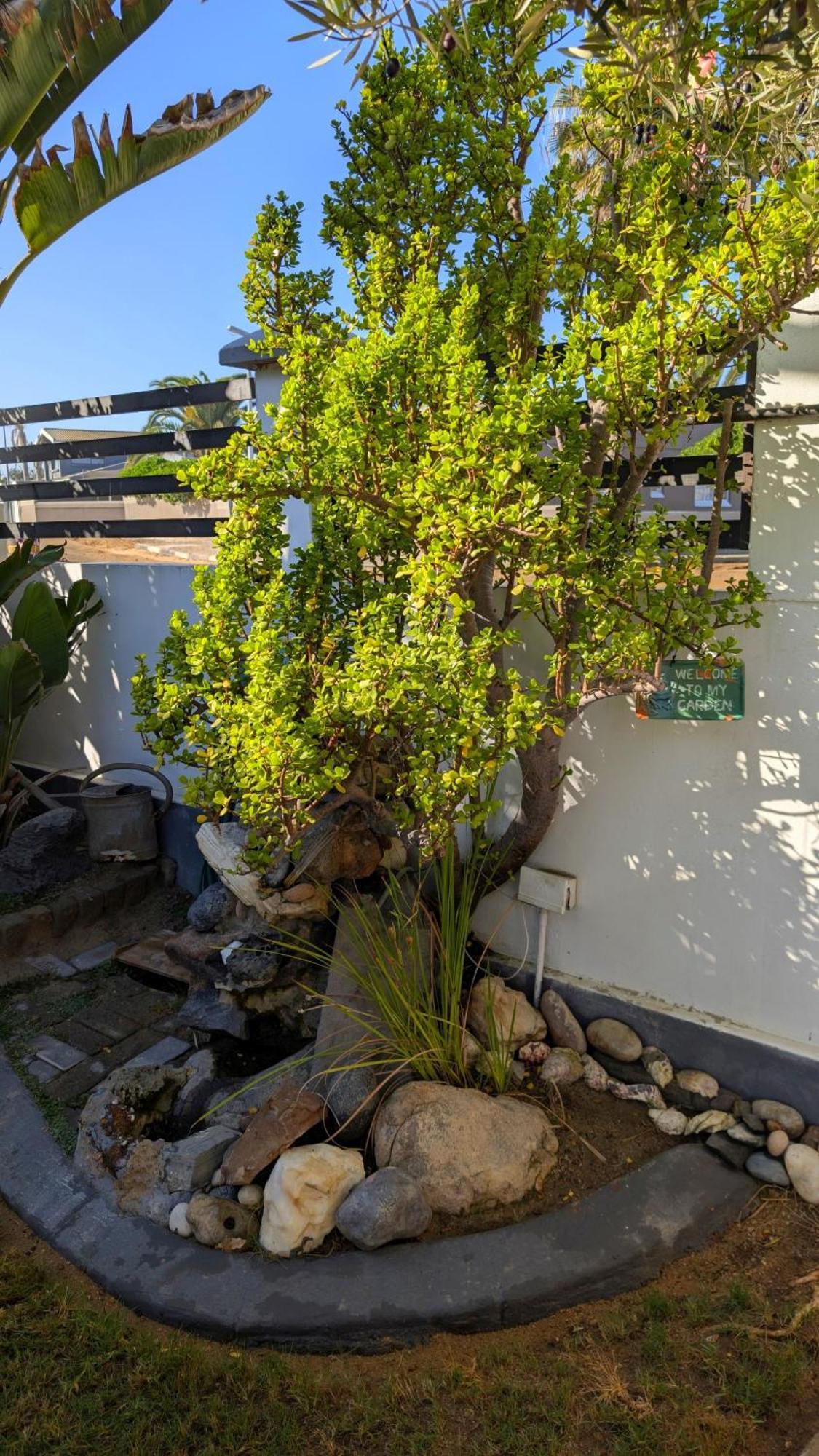 Amarachi Guesthouse Swakopmund Exterior photo